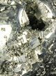Polished Pyrite Skull With Pyritohedral Crystals #96330-2